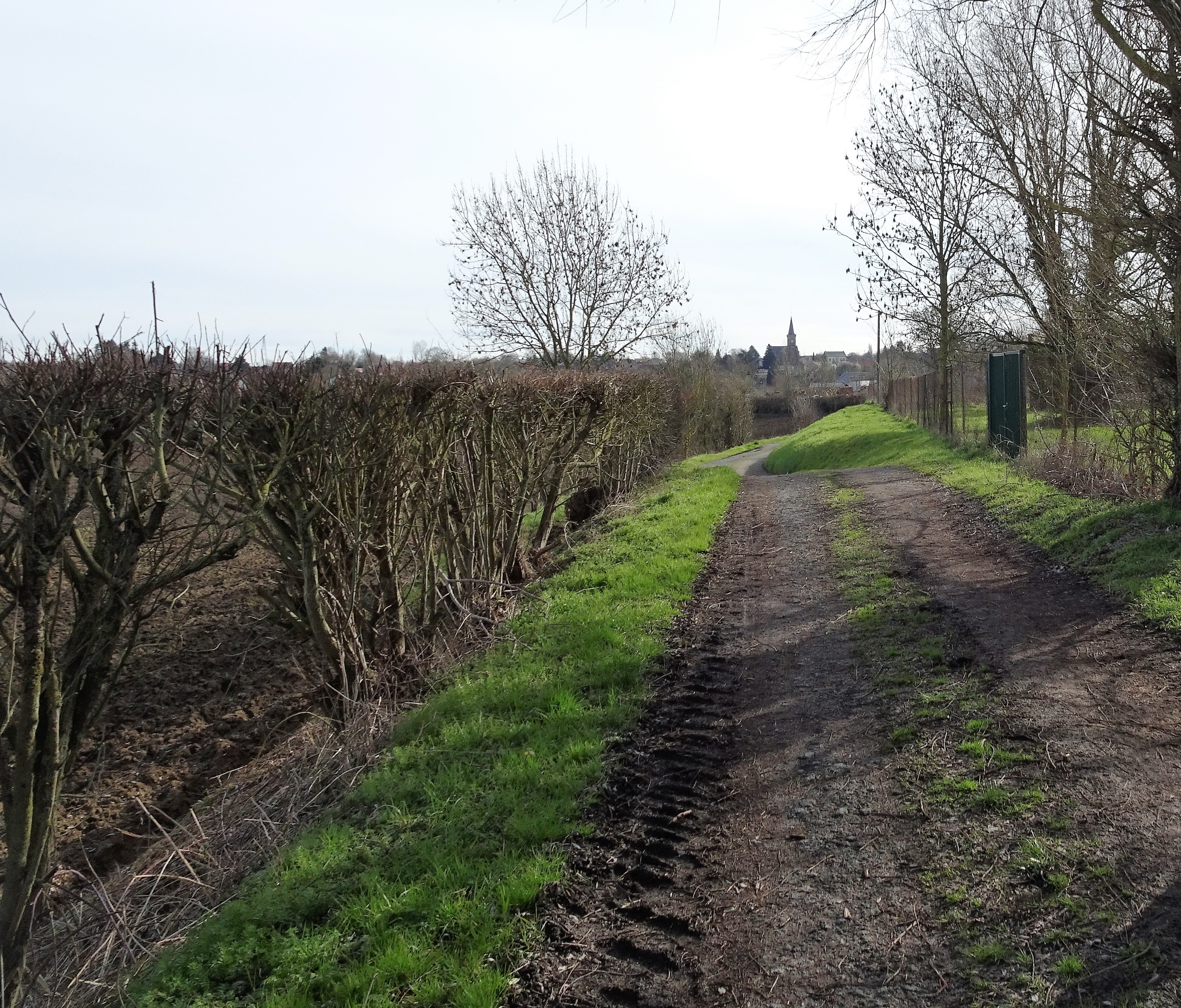Wargnies-le-Grand dans la campagne, photographié en mars 2023.